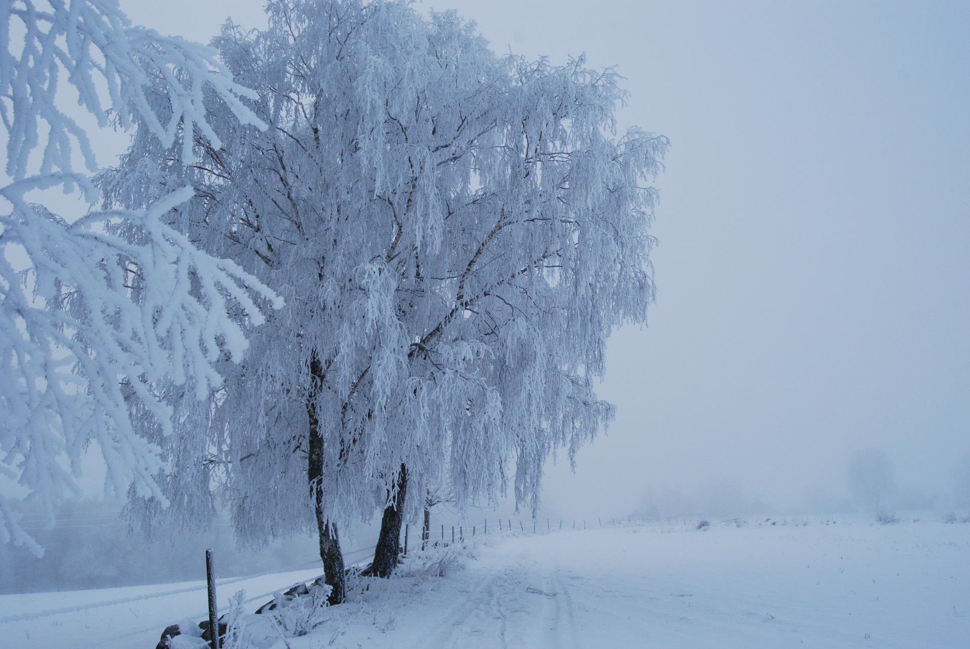 winter-walk_fotor