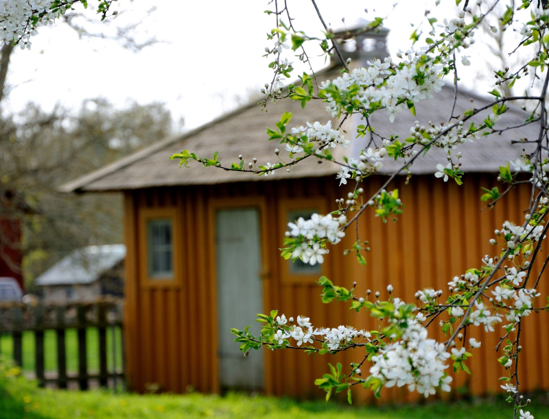 out-door-toilet